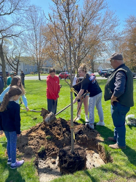 Trees for Suffield