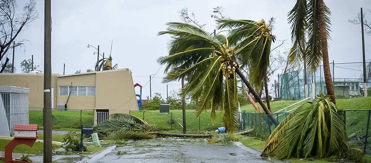 Hurricane Fiona Relief