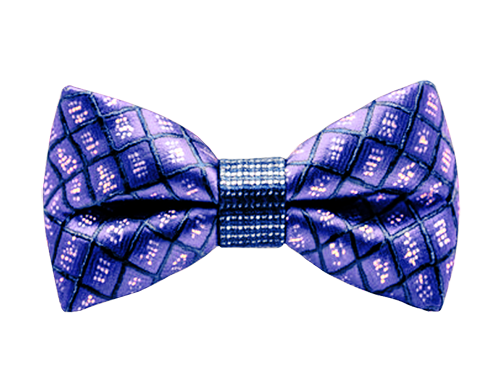 bowtie_pic.png